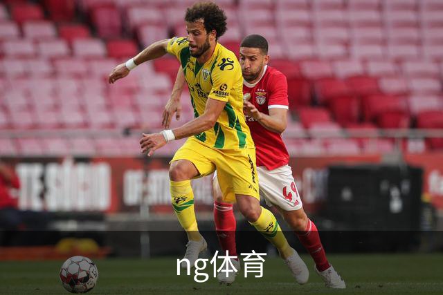 ng体育公司介绍
